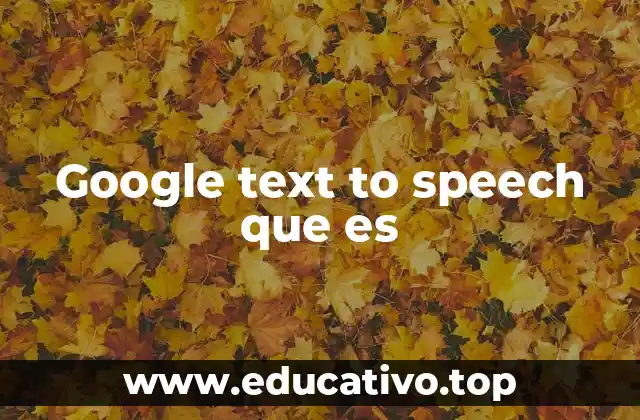 Google text to speech que es