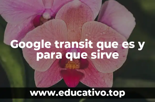 Google transit que es y para que sirve