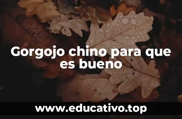 Gorgojo chino para que es bueno