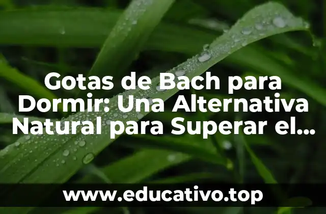 Gotas de Bach para Dormir: Una Alternativa Natural para Superar el Insomnio
