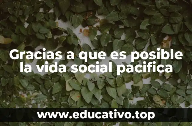 Gracias a que es posible la vida social pacifica