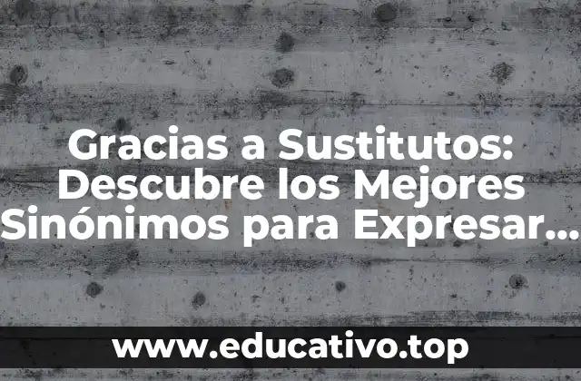 Gracias a Sustitutos: Descubre los Mejores Sinónimos para Expresar Gratitud
