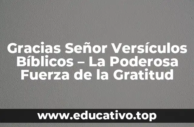 Gracias Señor Versículos Bíblicos – La Poderosa Fuerza de la Gratitud