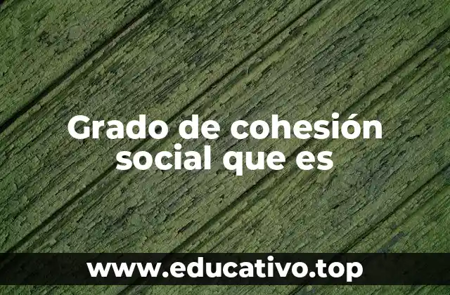 Grado de cohesión social que es