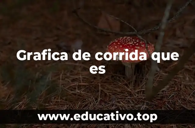 Grafica de corrida que es