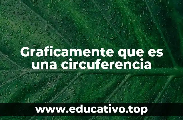 Graficamente que es una circuferencia