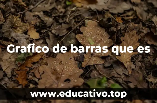 Grafico de barras que es