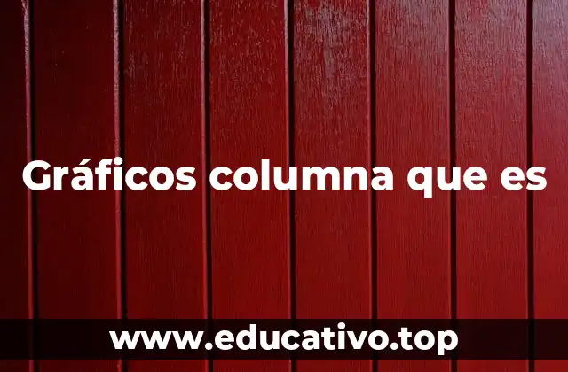 Gráficos columna que es