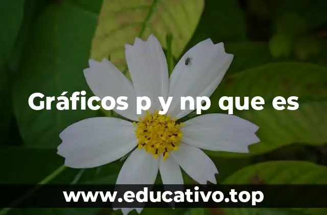 Gráficos p y np que es