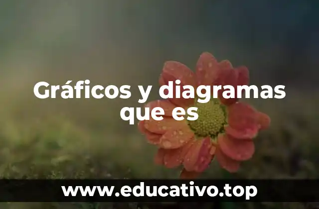 Gráficos y diagramas que es