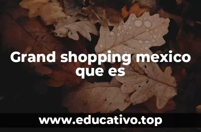 Grand shopping mexico que es