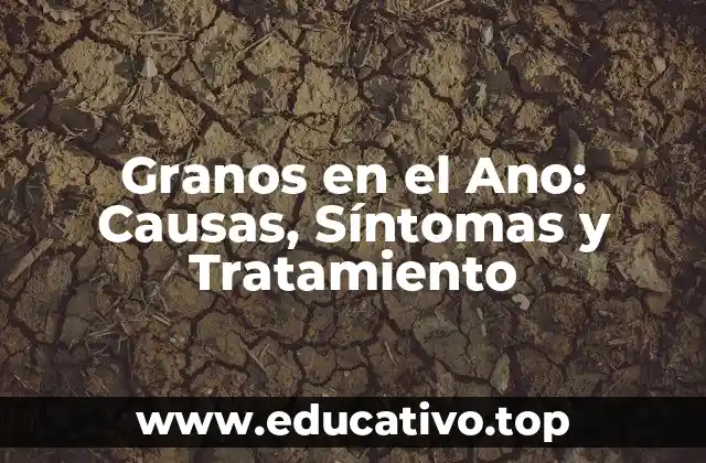 Granos en el Ano: Causas, Síntomas y Tratamiento