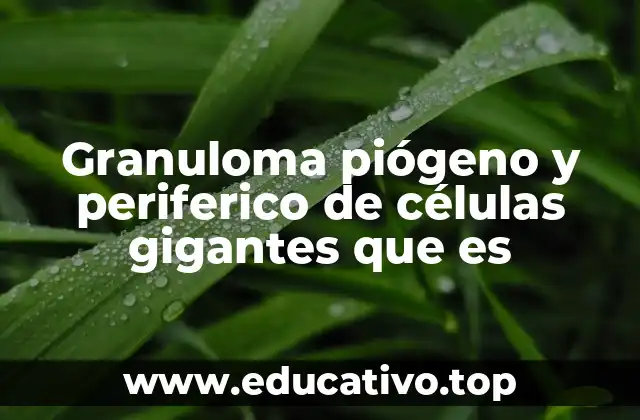 Granuloma piógeno y periferico de células gigantes que es