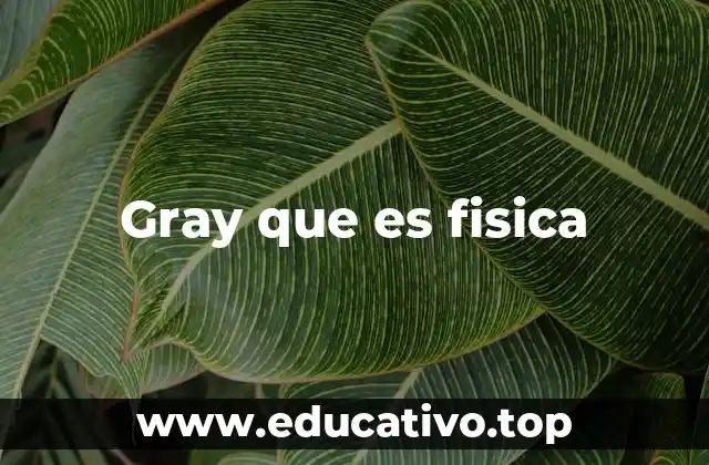 Gray que es fisica