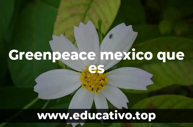 Greenpeace mexico que es