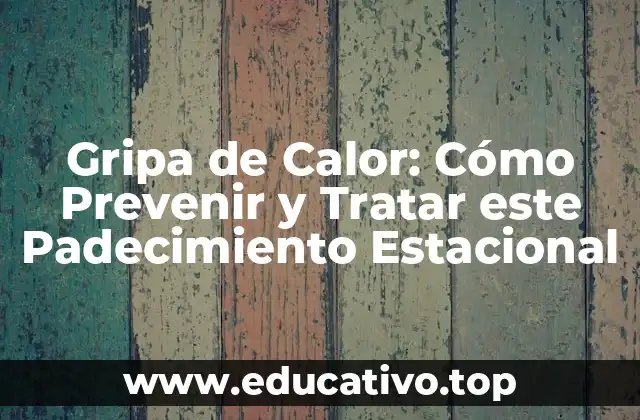 Gripa de Calor: Cómo Prevenir y Tratar este Padecimiento Estacional