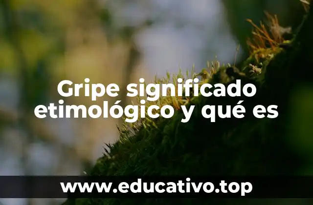 Gripe significado etimológico y qué es