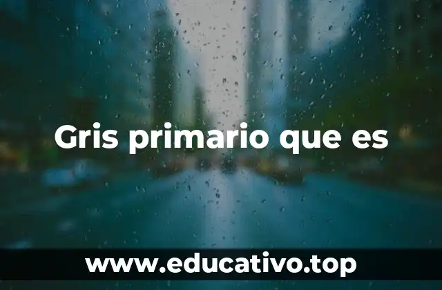 Gris primario que es