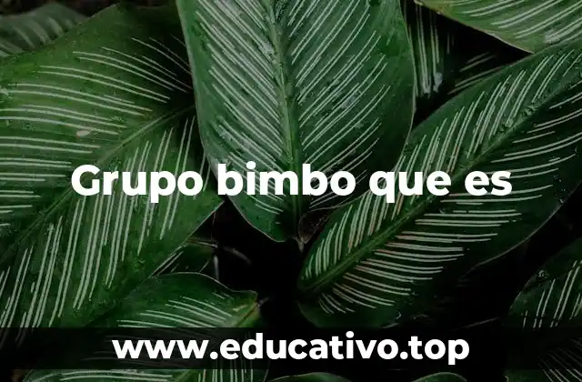 Grupo bimbo que es