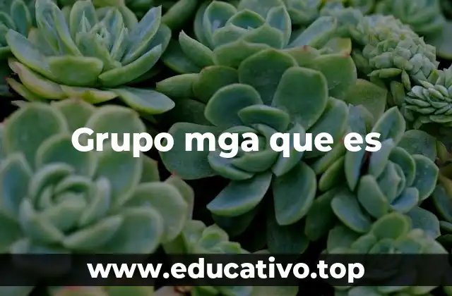 Las diferentes formas en que se utiliza el término grupo MGA