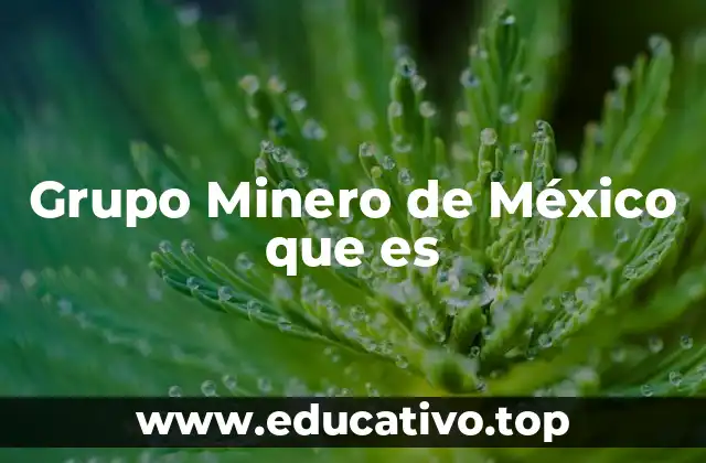 Grupo Minero de México que es