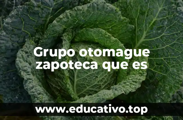 Grupo otomague zapoteca que es
