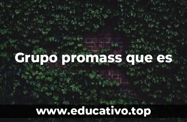 Grupo promass que es