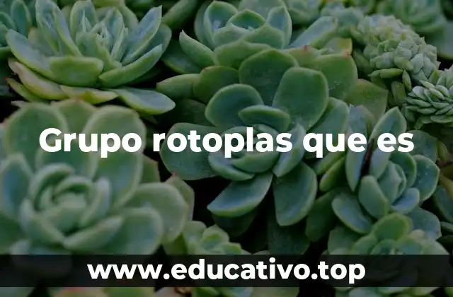 Grupo rotoplas que es