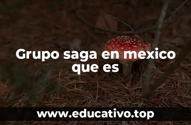 Grupo saga en mexico que es