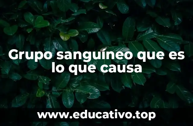 Cómo se hereda el tipo de sangre y sus implicaciones