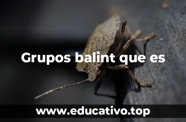Grupos balint que es