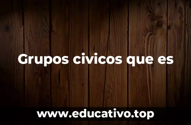 Grupos civicos que es