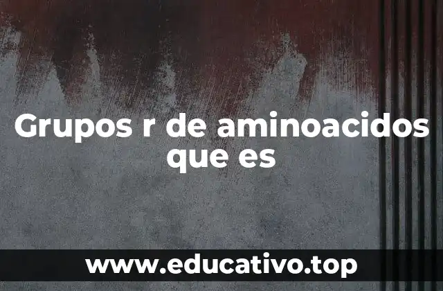 Grupos r de aminoacidos que es