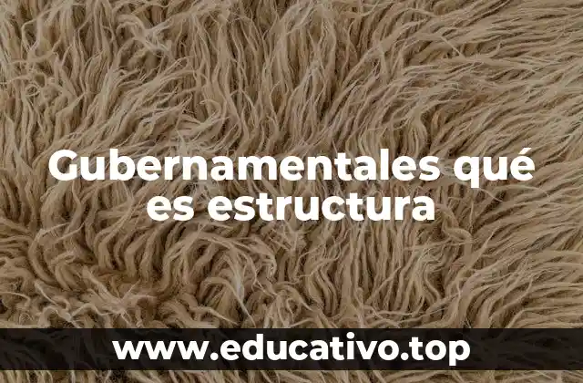 Gubernamentales qué es estructura