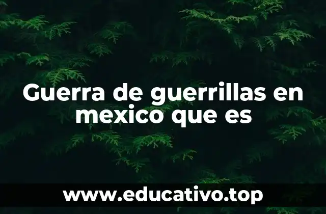 Guerra de guerrillas en mexico que es