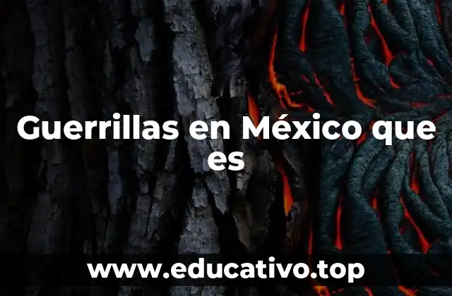 La presencia de grupos armados en la historia mexicana