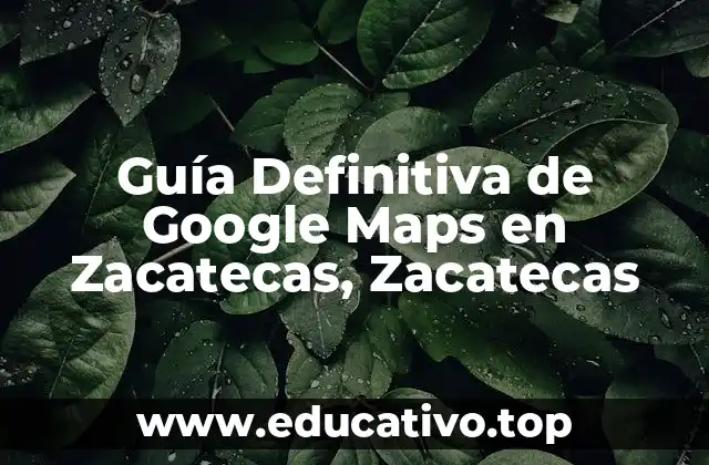Guía Definitiva de Google Maps en Zacatecas, Zacatecas