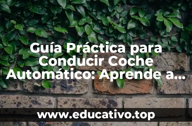 Guía Práctica para Conducir Coche Automático: Aprende a Dominar el Volante