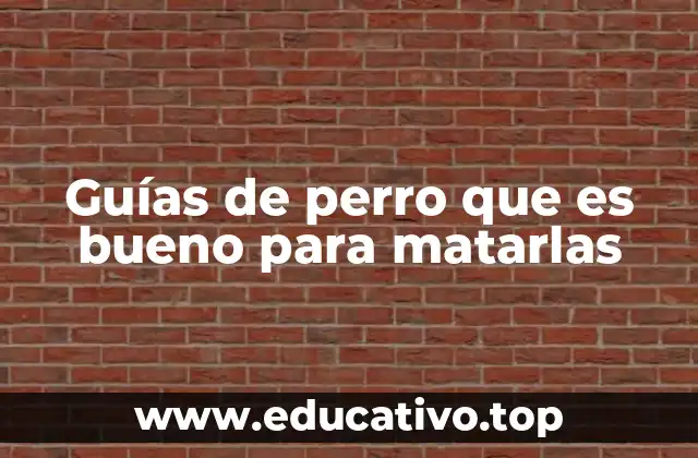 Guías de perro que es bueno para matarlas