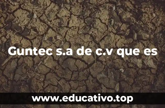 Guntec s.a de c.v que es