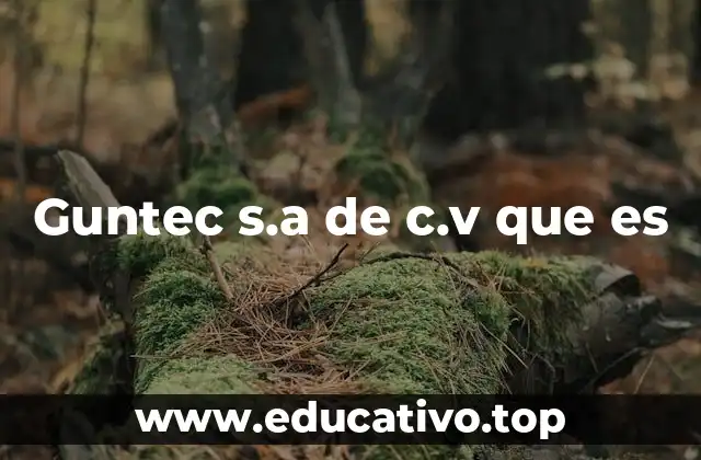 Guntec s.a de c.v que es