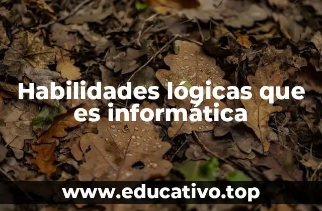 Habilidades lógicas que es informática