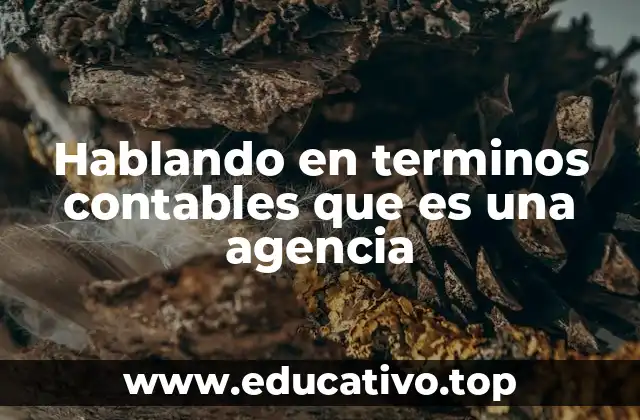 Hablando en terminos contables que es una agencia