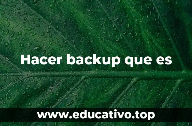 Hacer backup que es
