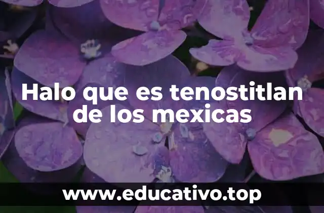Halo que es tenostitlan de los mexicas