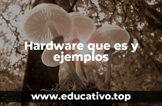 Hardware que es y ejemplos