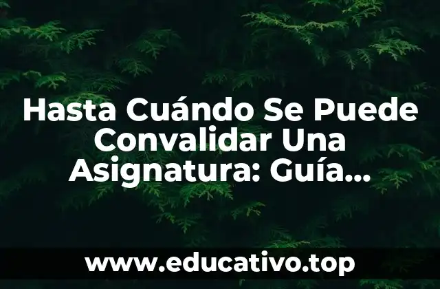 Hasta Cuándo Se Puede Convalidar Una Asignatura: Guía Completa