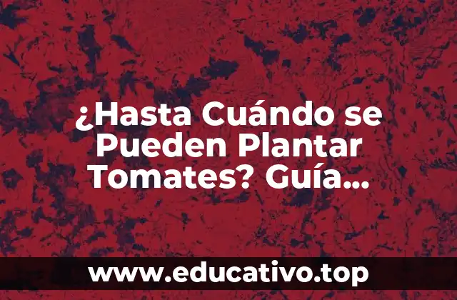 ¿Hasta Cuándo se Pueden Plantar Tomates? Guía Completa para Cultivar Tomates Todo el Año