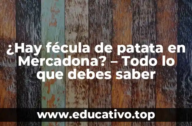 ¿Hay fécula de patata en Mercadona? – Todo lo que debes saber