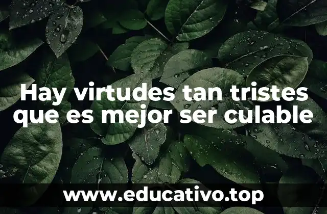 Hay virtudes tan tristes que es mejor ser culable